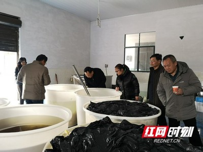 國家特色蔬菜產業技術體系專家赴鳳凰縣調研指導辣椒加工產業發展